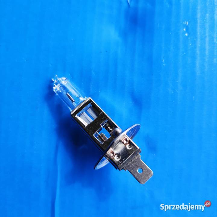 Żarówki H1 H3 H8 H10 Melanów sprzedam