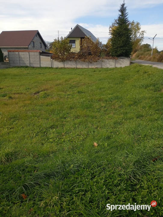 działka budowlana Międzybórz dolnośląskie