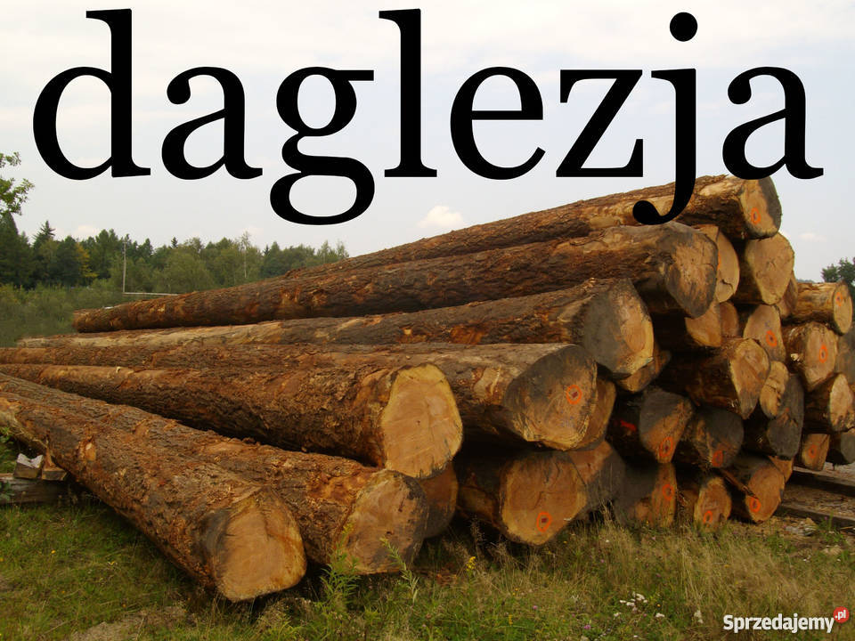 DESKA TARASOWA DAGLEZJA DESKI BALKONOWE Materiały budowlane Jelenia Góra