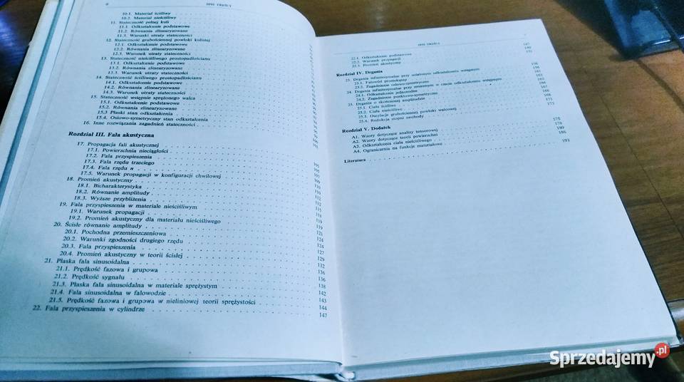 Zagadnienia dynamiczne nieliniowej teorii Gdańsk