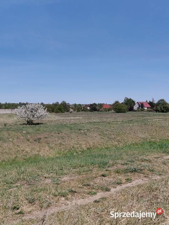 DZIAŁKA BUDOWLANA Włocławek