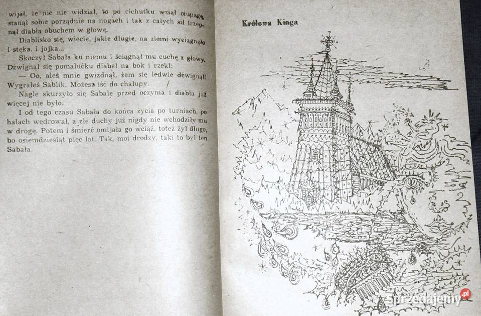 Z legendą w góry Andrzej Jazowski Chełm sprzedam