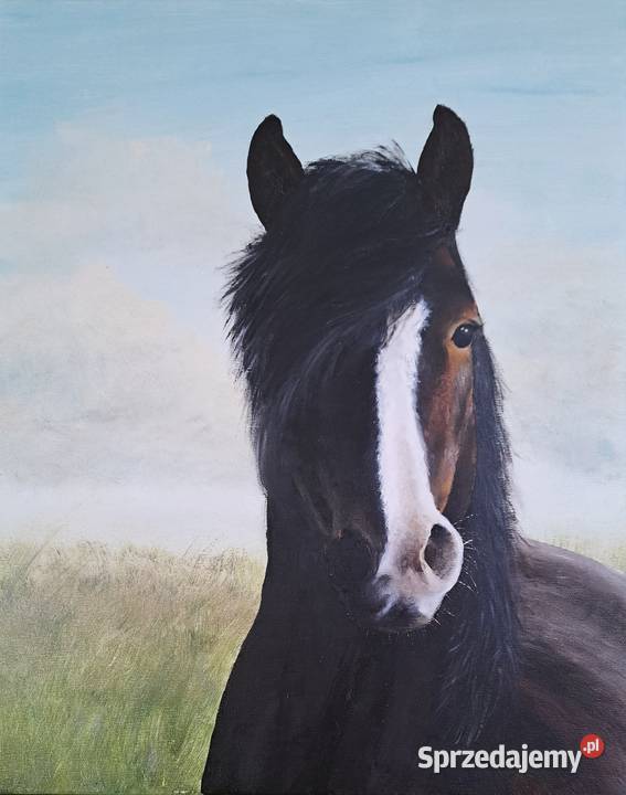 Obraz olejny na płótnie 40x50 mgła koń portret