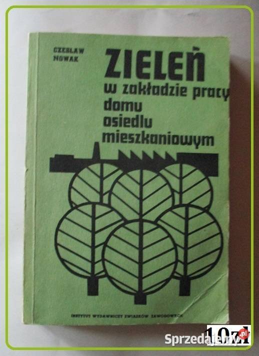 Grzyby leśne Grzywacz grzyby botanika las Łódź