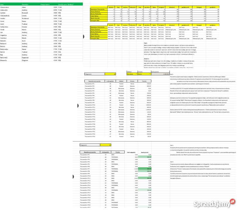 Korepetycje MS EXCEL poziom podstawowy i Luboń