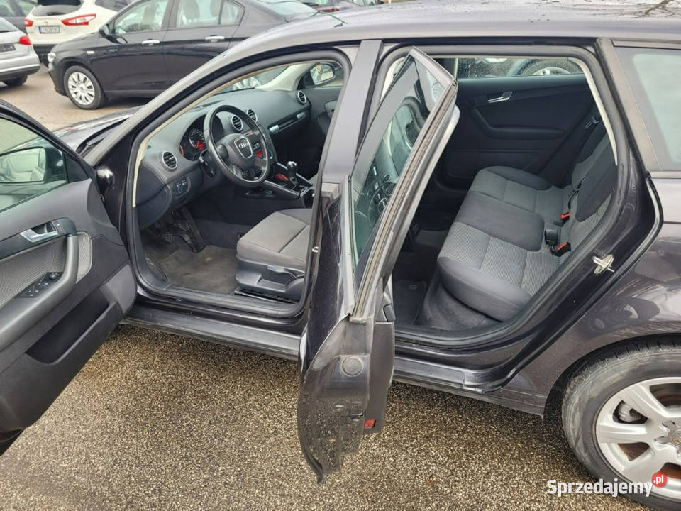 Audi A3 19TDI 105 Zarejestrowana w 8P 20032012 tempomat