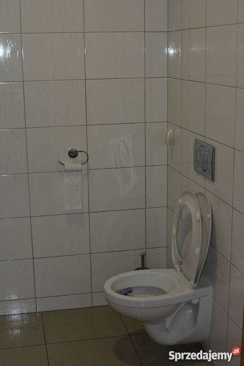 Wynajem sali i gabinetu w Goleniowie Centrum Goleniów