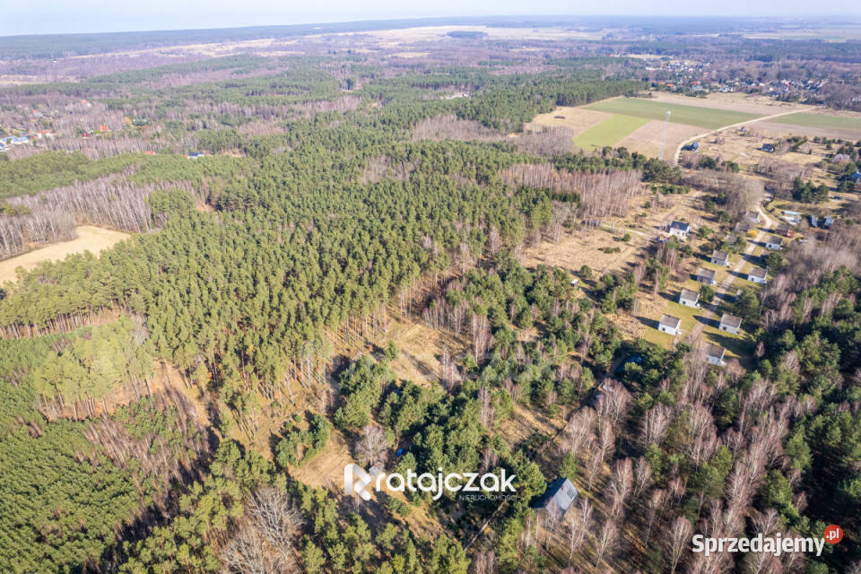 Grunt na sprzedaż 9751m2 Sasino Stara Cegielnia