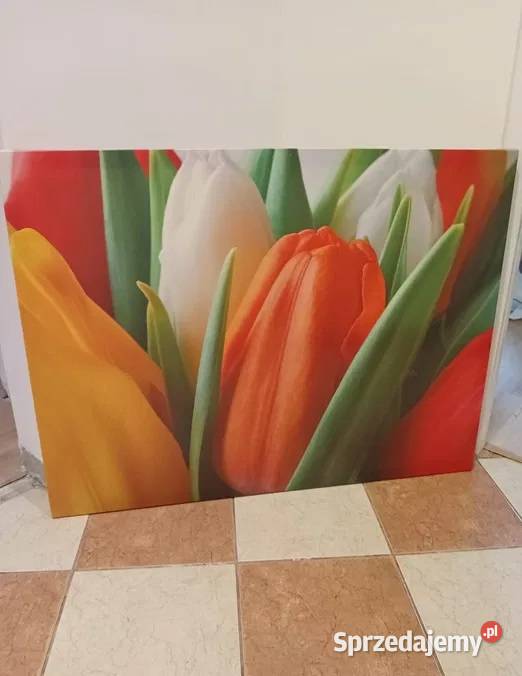 Obraz na płótnie mazowieckie