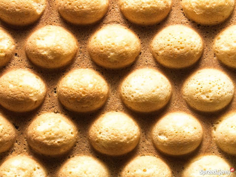 Gofrownica bąbelkowa gofry bąbelkowe 1415W Częstochowa sprzedam