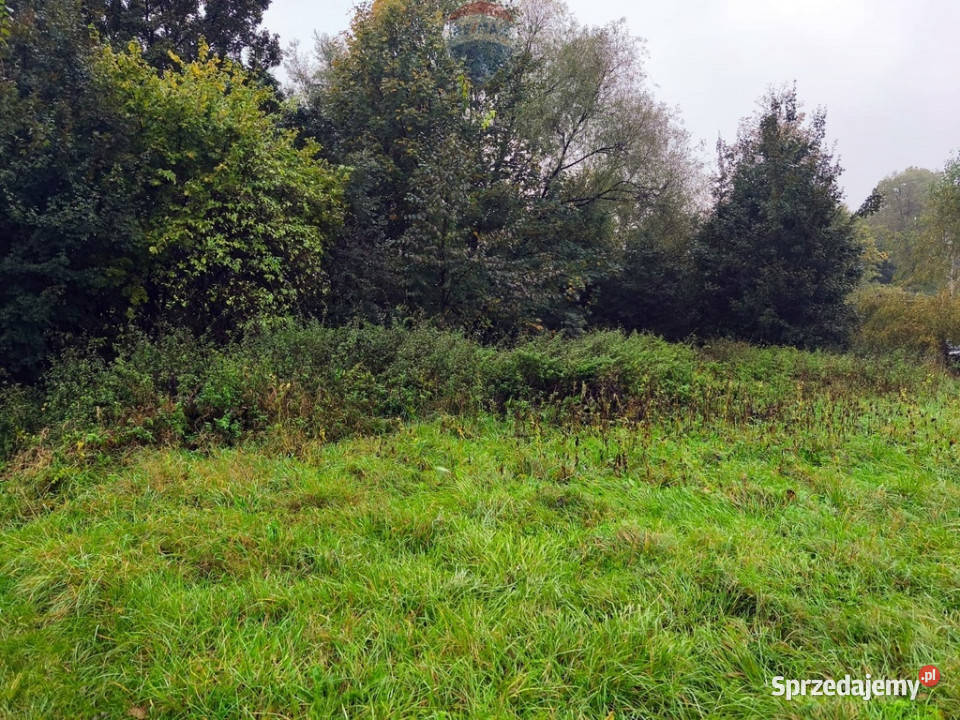 Działka pog górą Chełm
