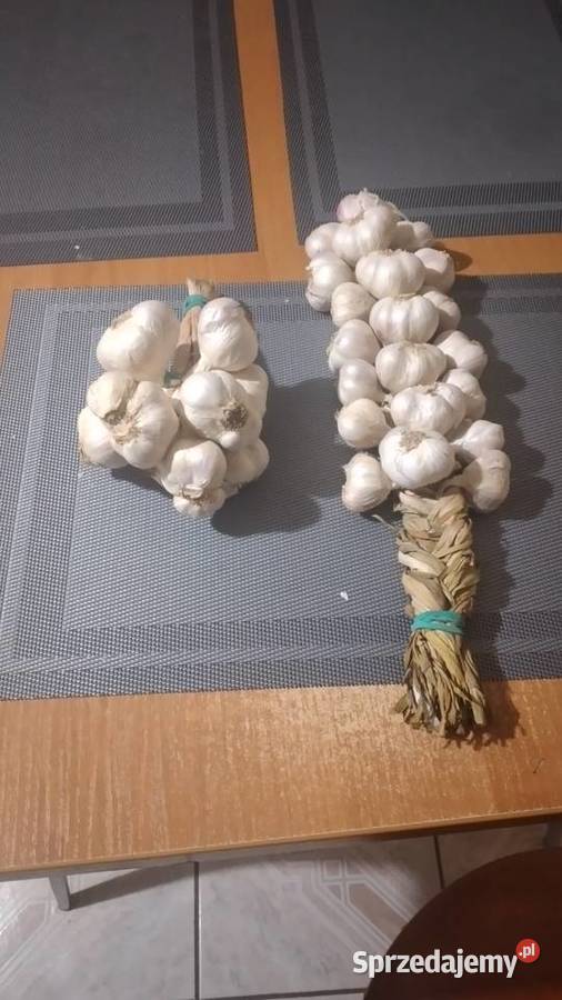 Czosnek wiosenny Rataje Słupskie