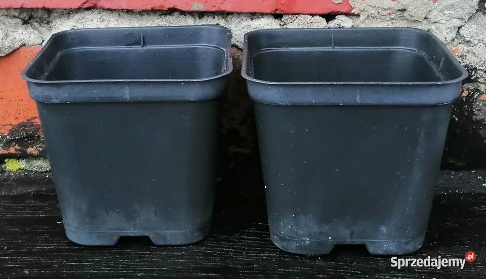 Doniczki produkcyjne kwadratowe P9 045L Siewierz sprzedam