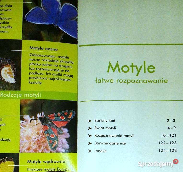 Motyle łatwe rozpoznawanie Atlas red Robert miękka Chełm