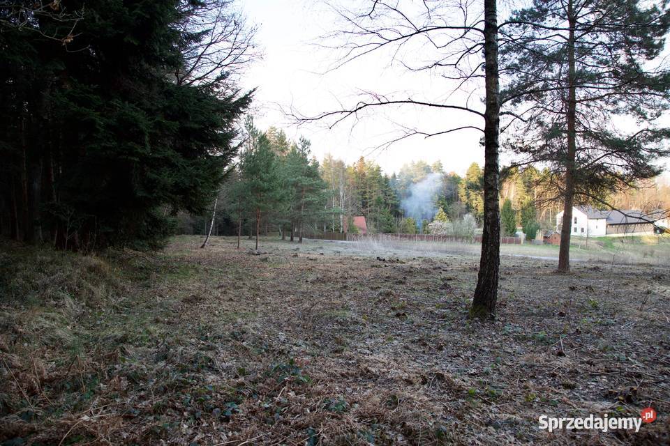 DZIAŁKA BUDOWLANOROLNA Z PIĘKNYM WIDOKIEM małopolskie sprzedam