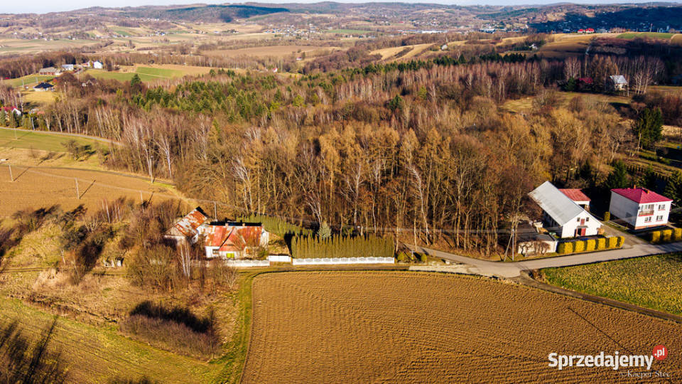 Działka leśna 3025 ar Tuchów małopolskie