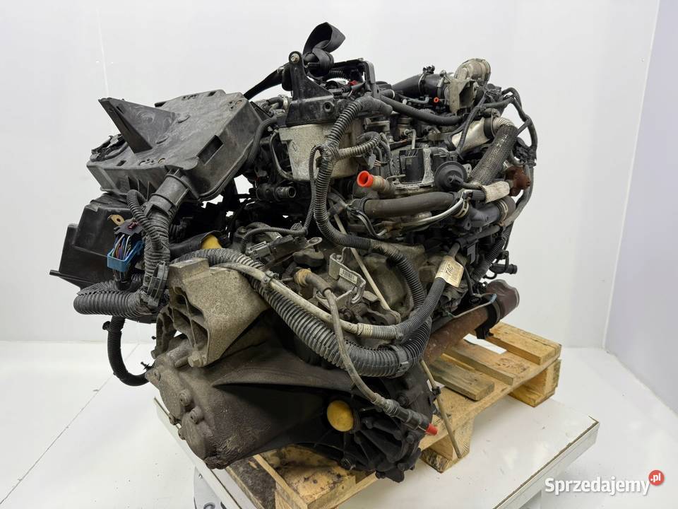 SILNIK NGDA NGDB Ford Focus III MK3 16 TDCI 105 Chełm