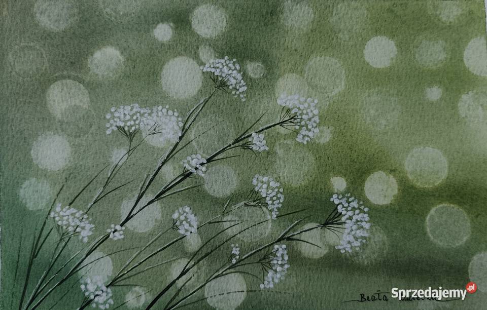 Akwarela Akwarelka Obraz Subtelność Autorska Poznań