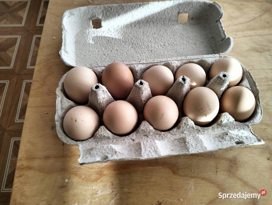 Sprzedam jajka wiejskie Czechy