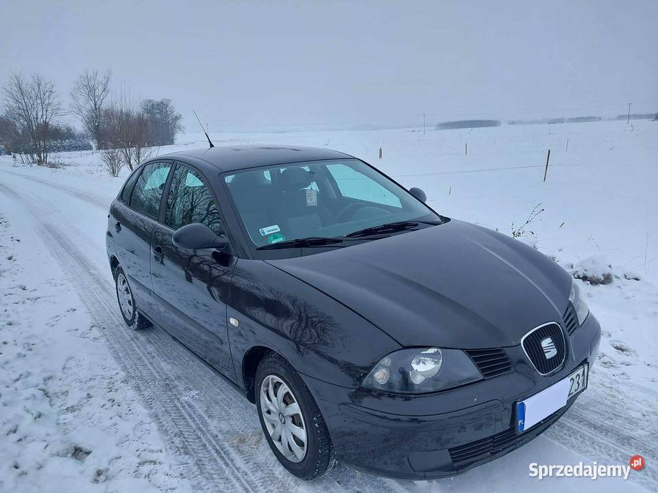 Seat Ibiza 14 benzyna 2004 Sprawna Klima benzyna Przeworsk