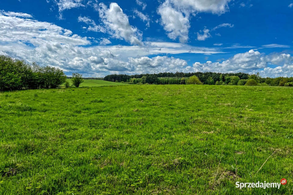 Dwie działki na sprzedaż Rzepowo 24zł/m2