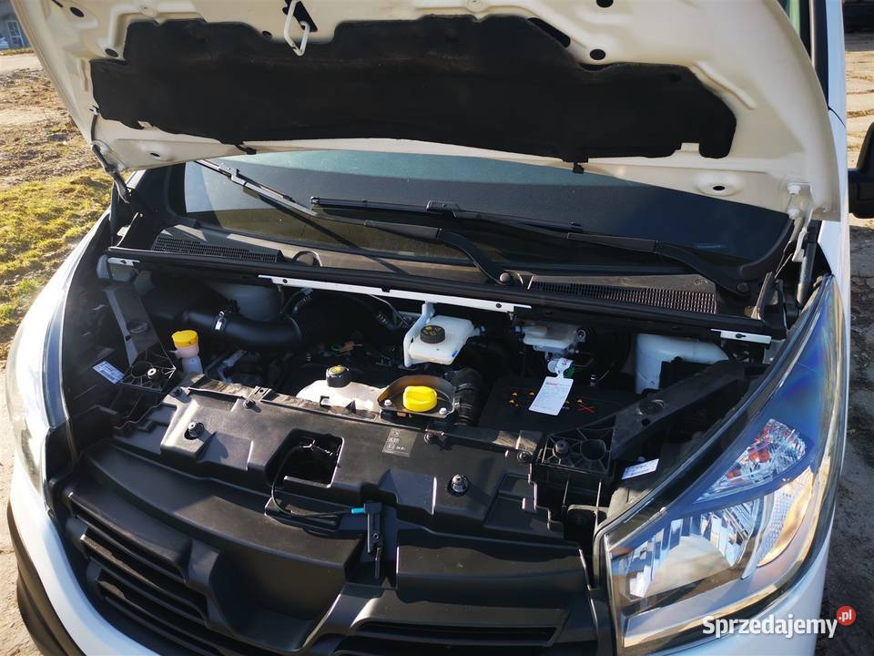 Renault Trafic 16 CDTI 125 z 2019 roku w wersji zachodniopomorskie Szczecinek