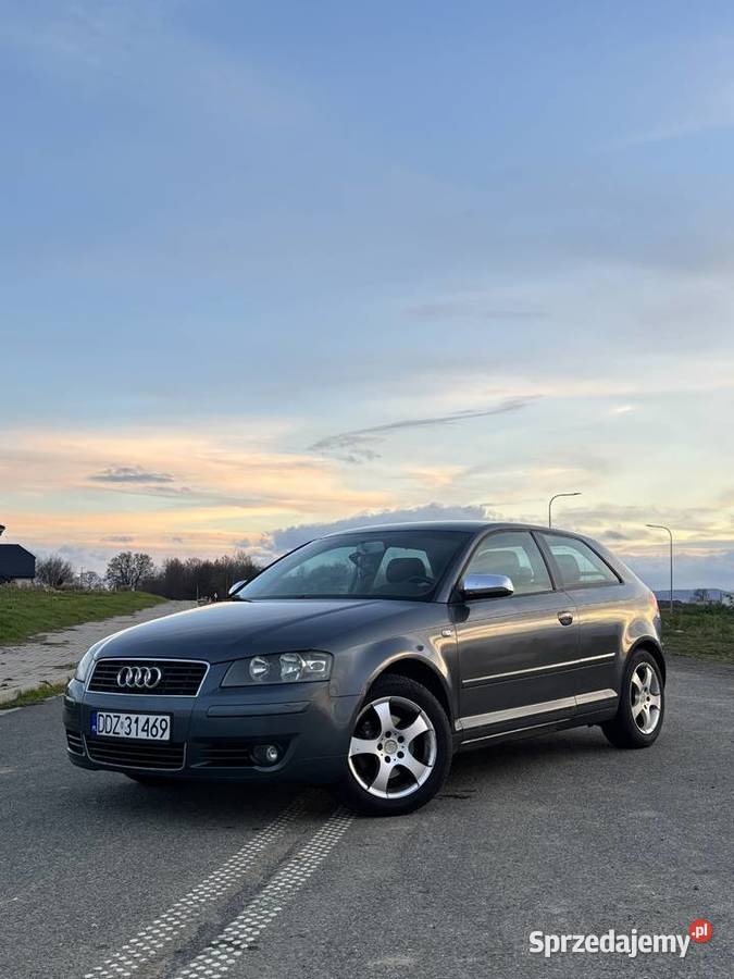 Audi a3 8p kompakt 16 mpi 102 2004r Dzierżoniów