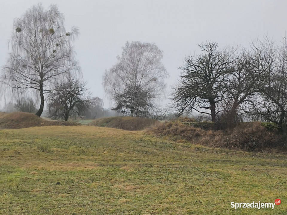 Ziemia rolna o pow 39 Ha w gminie Terespol lubelskie Murawiec sprzedam