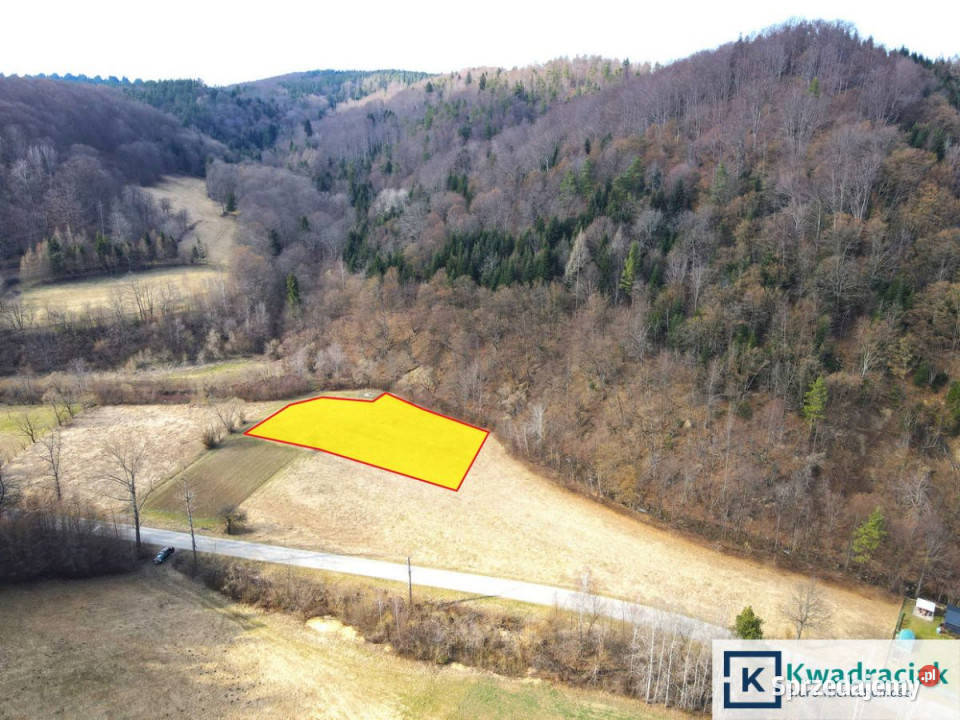 sprzedaży gruntu 3992m2 Wołkowyja 98zł/m2 podkarpackie