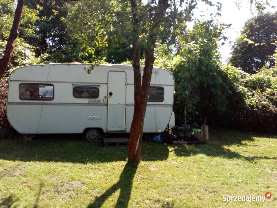 Działka ROD na tyłach Wola Parku 400m2 Warszawa