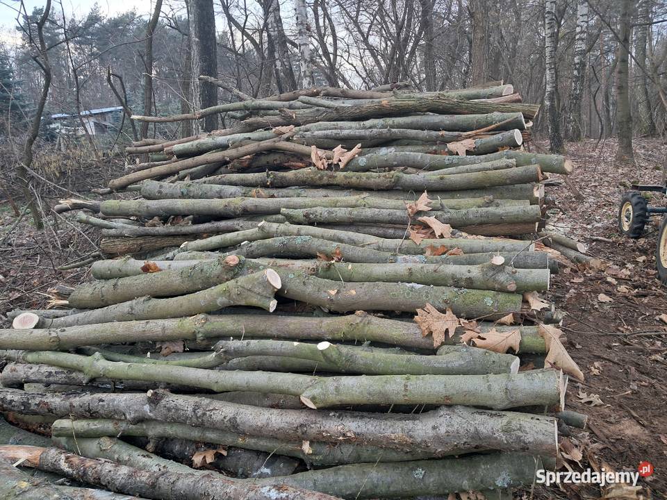 drewno opałowe gałęźiowe