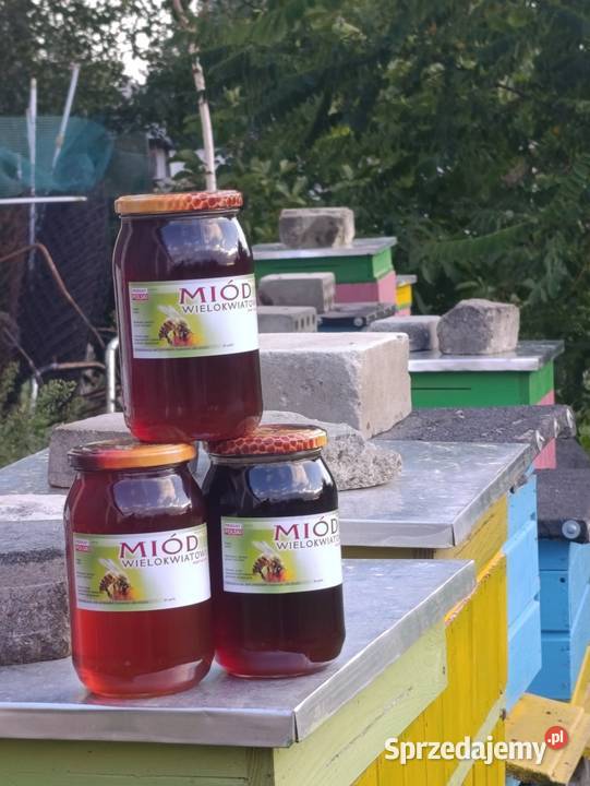 Miód wielokwiatowy Koziegłowy sprzedam
