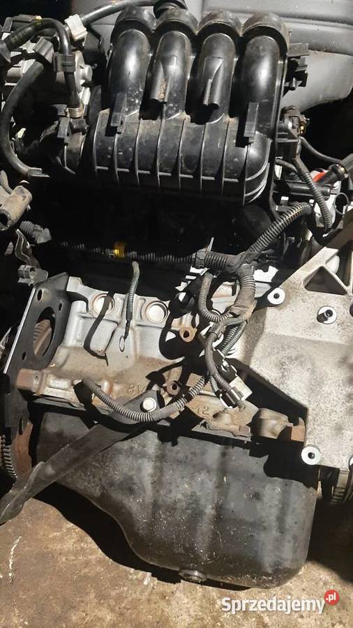 silnik 79 12 Fiat Ford 169A4000 Korzeńsko