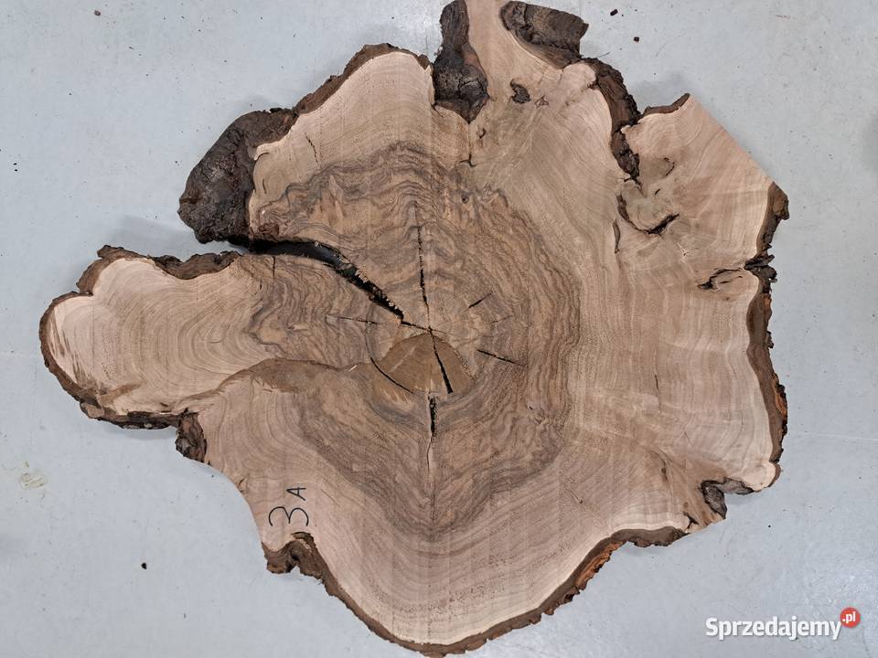 Plastry Orzech Korzeń suche Kalinówka sprzedam