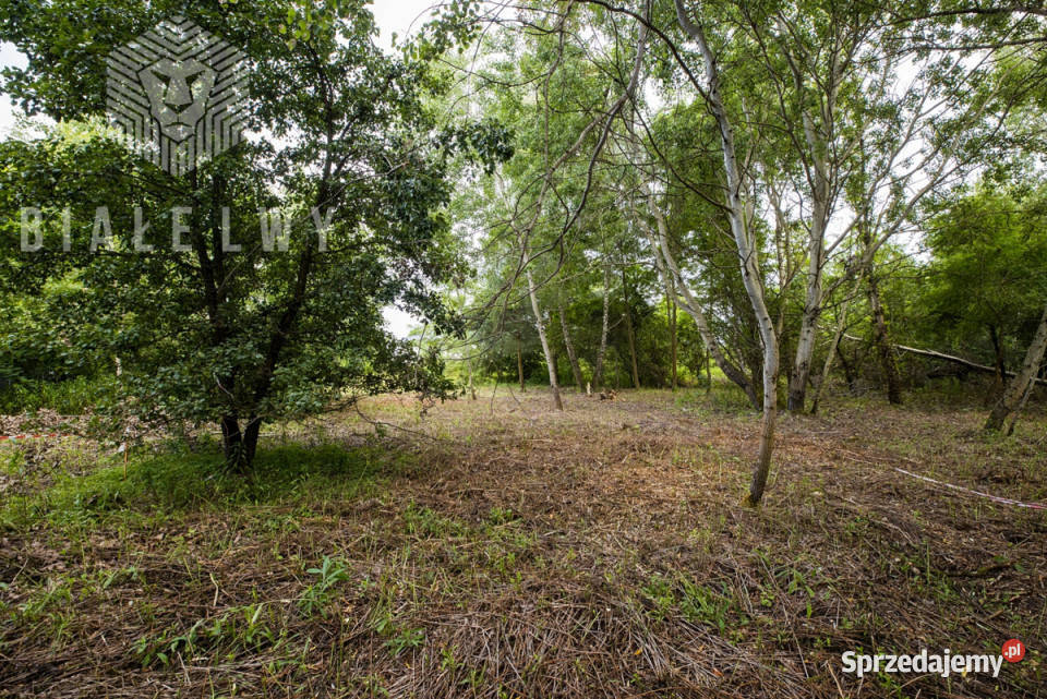 sprzedaży działki Wilcza Góra Polna 1195m2 333zł/m2