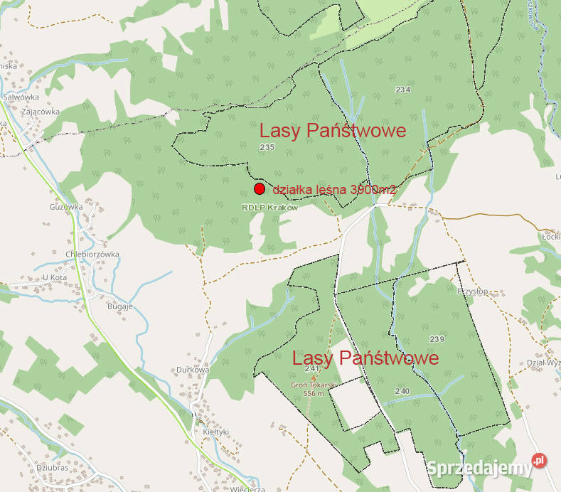 Piękny las 3900 m2 Tokarnia widok Tatry Kraków 60m Więciórka