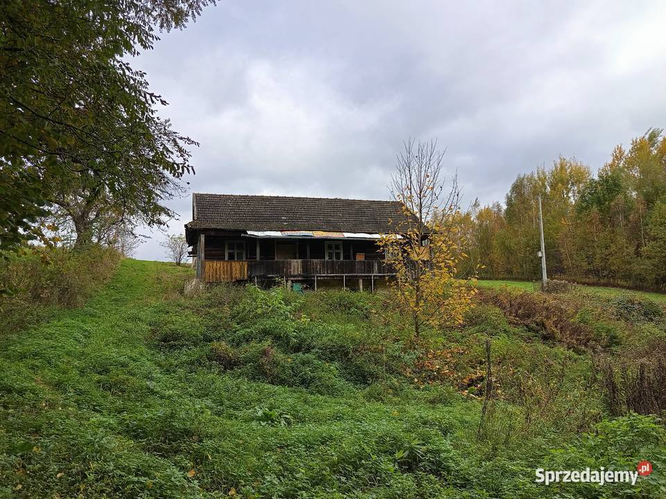 dom drewniany 2980zł/m2 Domy Binarowa