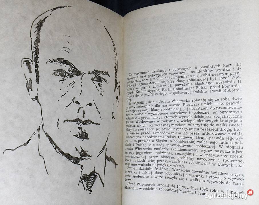 Śląskie portrety Józef Biniszkiewicz i inni Pozostałe Chełm