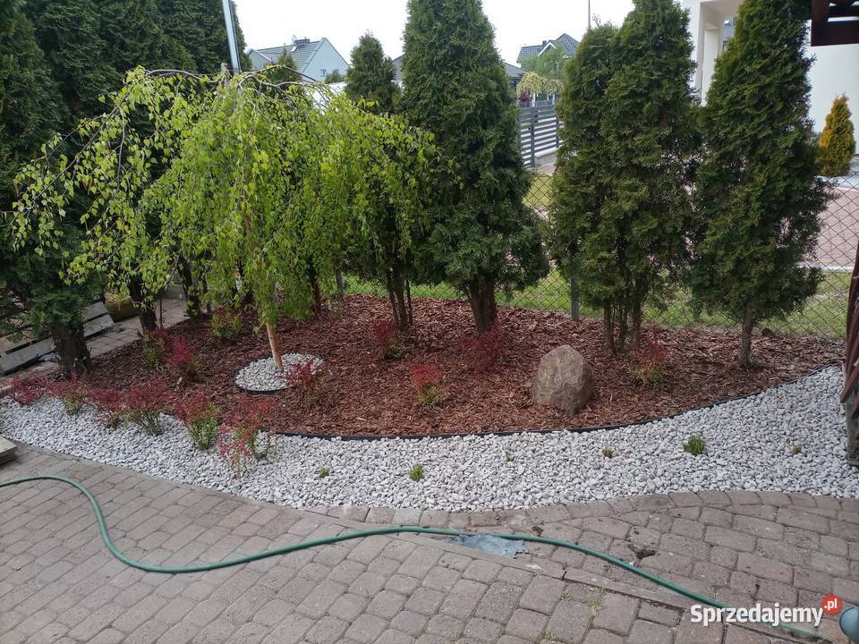 Usługi ogrodnicze Lębork
