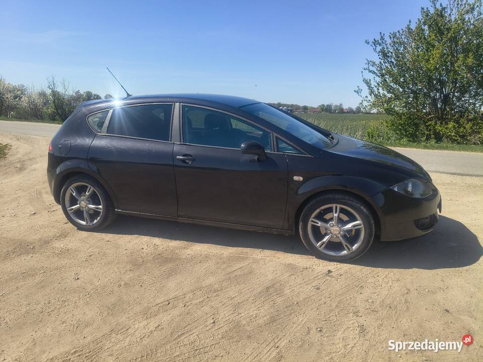Seat Leon 2 19 TDI wielkopolskie Września
