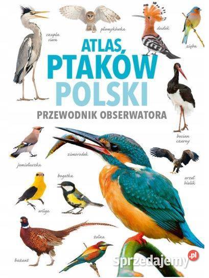 Atlas Ptaków Polski Magdalena Janiszewska Książki naukowe i popularnonaukowe dolnośląskie Głogów