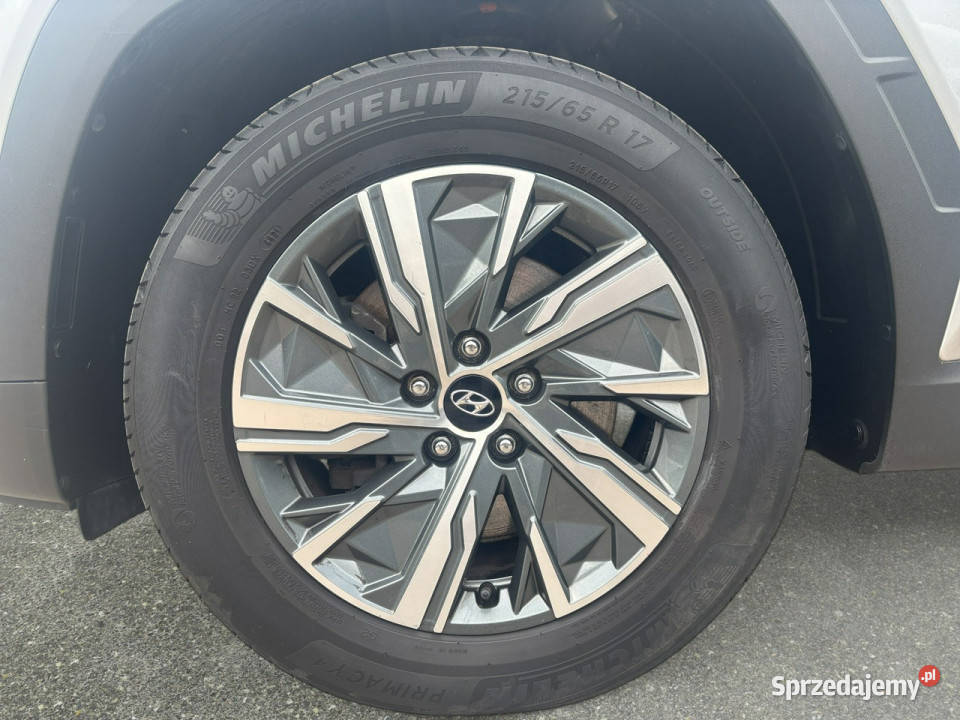 Hyundai Tucson 16 TGDi HEV Executive 4WD Z isofix
