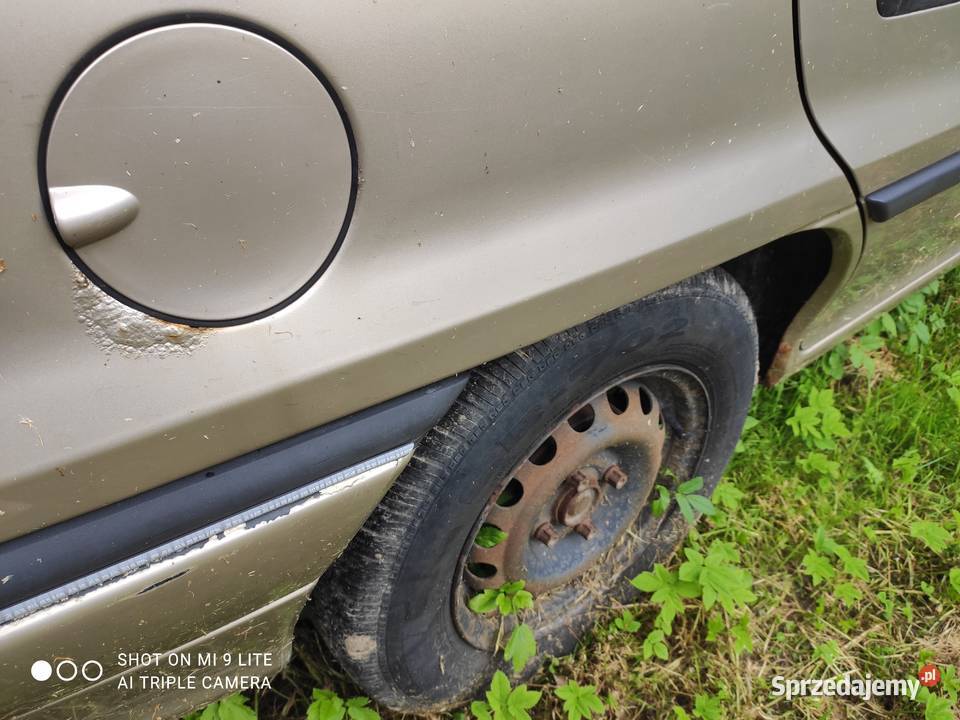 Sprzedam 60KM Zmysłówka