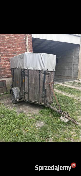 Sprzedam przyczepkę do przewozu bydła Przyczepy Sadlno sprzedam