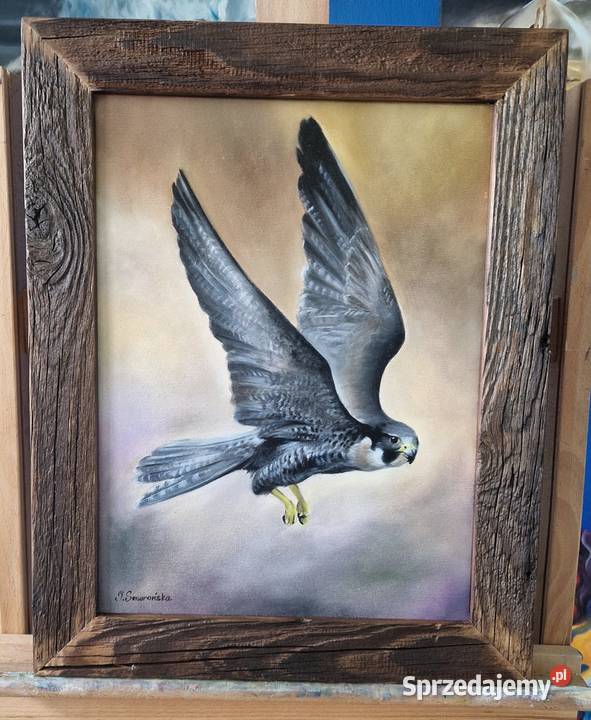 Obraz ręcznie malowany sokół 30x40 Męcina