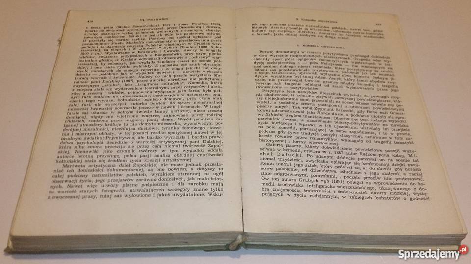 Julian Krzyżanowski Dzieje Literatury Polskiej