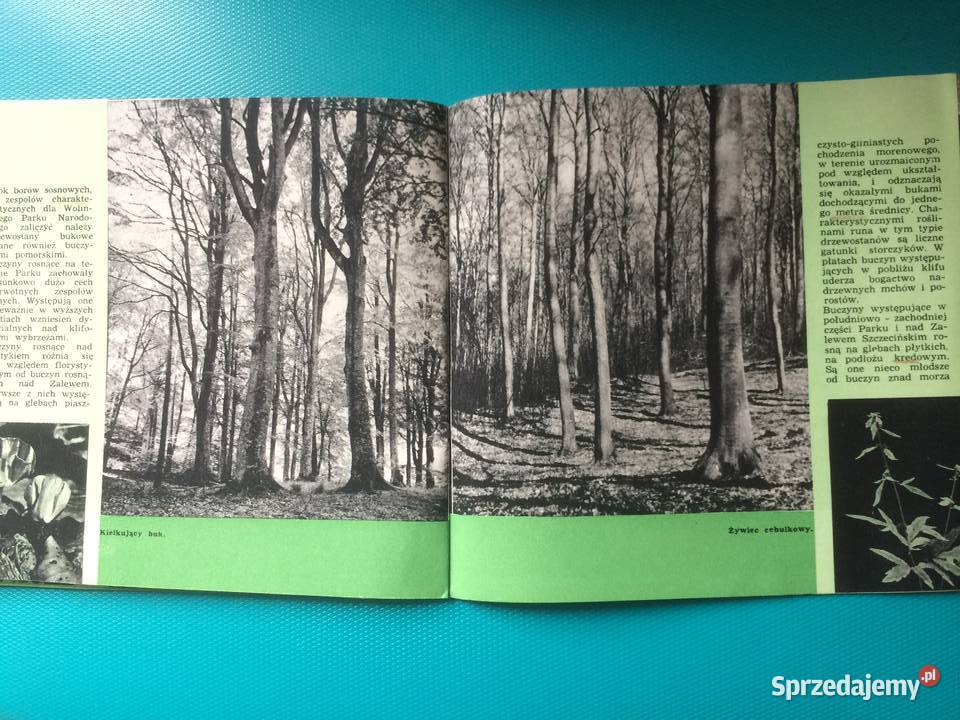 3479 Woliński Park Narodowy Szczecin