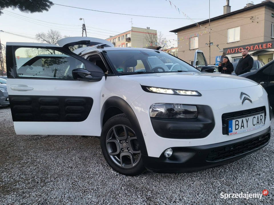 Citroen C4 Cactus 16 100 100 Oryginał 100 Pabianice