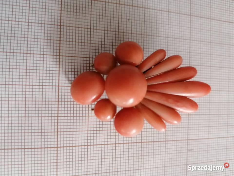 Broszka Koral Antyk Złoto IXX w Białystok