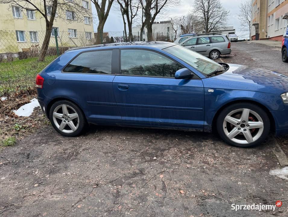 Audi A3 8P 20 FSI 150 2003 Gdynia